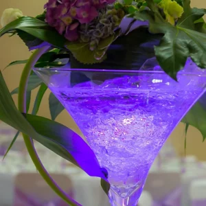 Projecteur led submersible