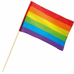 Drapeau Arc-en-ciel 30 X 45 cm