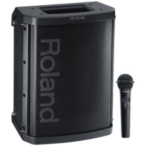 Enceinte autonome Roland BA-55